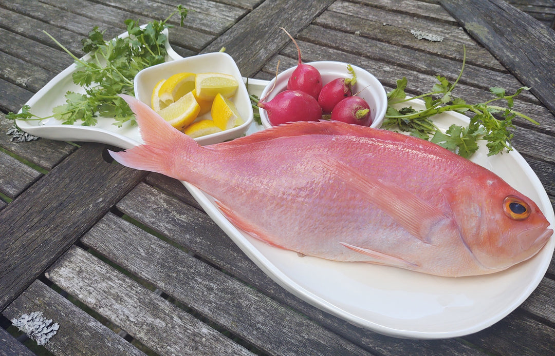 Motor City Seafood Co.