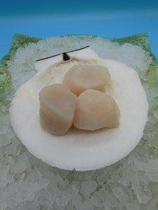 Domestic U10 Dry Sea Scallops - 2lbs