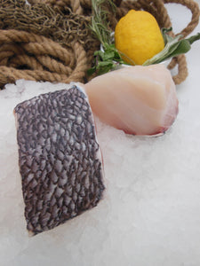 New Zealand Groper (Hapuku) - 7 oz Portions