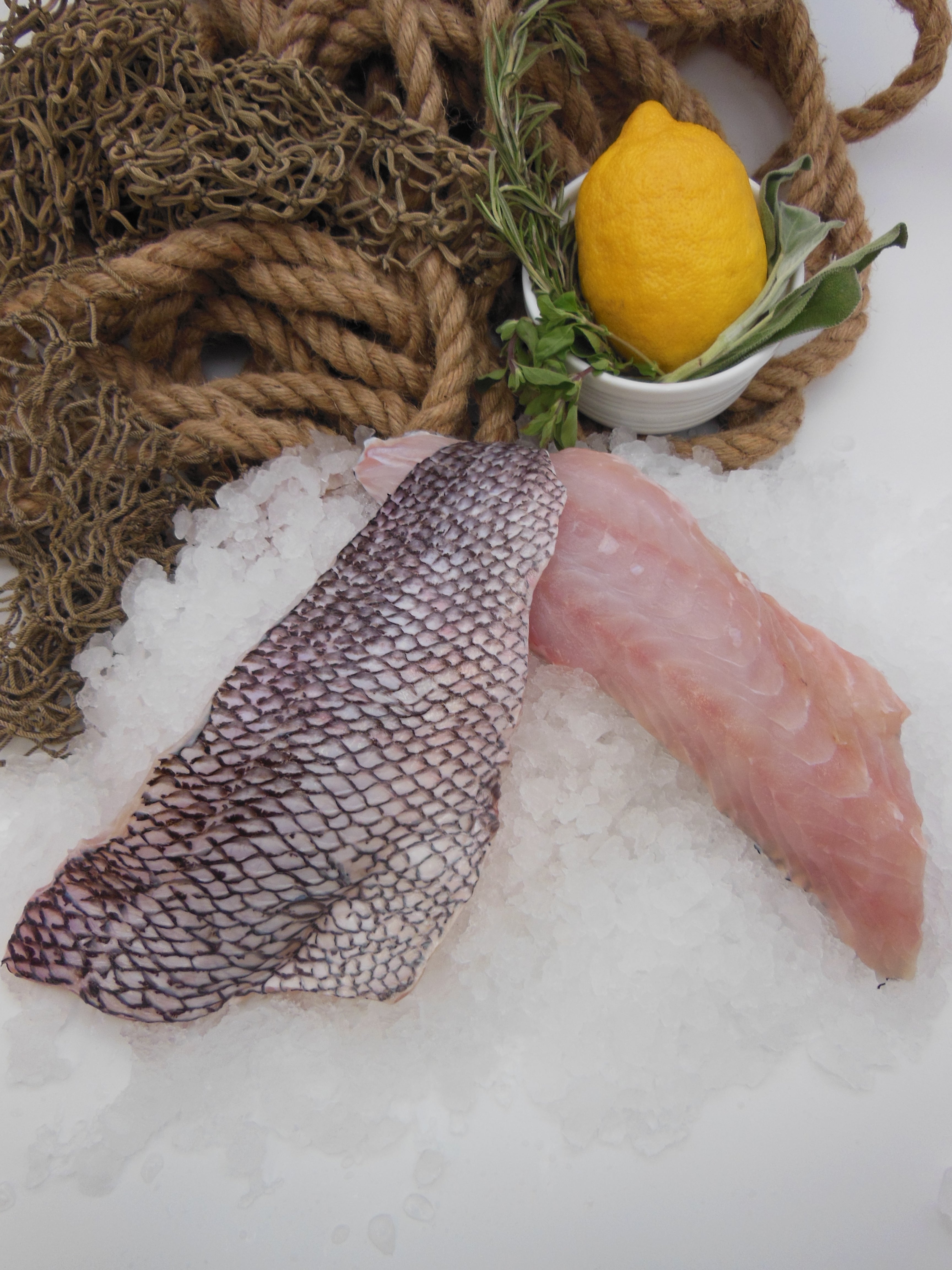 Atlantic Black Sea Bass - Fillet