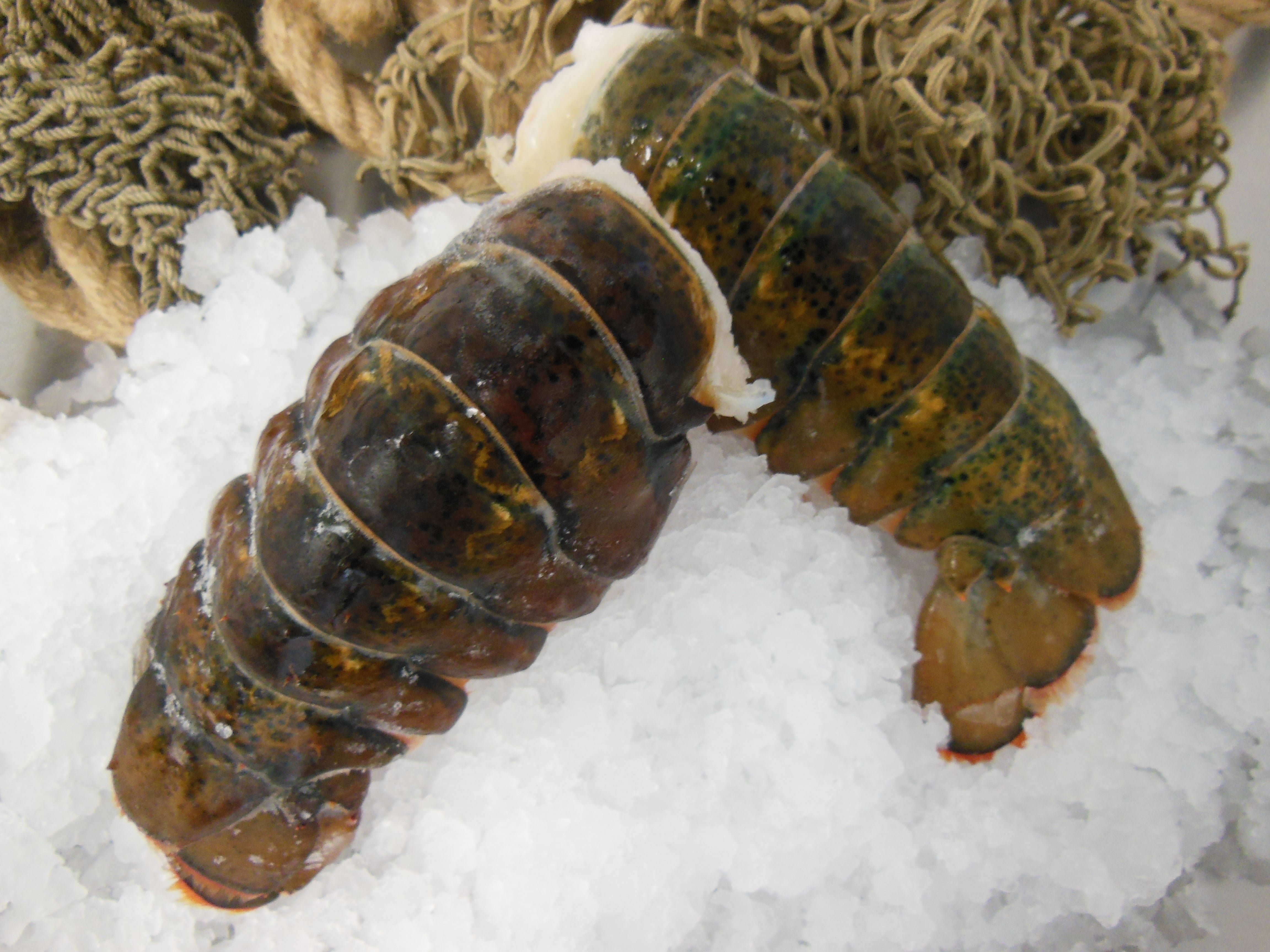 Canadian Coldwater Lobster Tails - 5-6oz each (2 Tails)