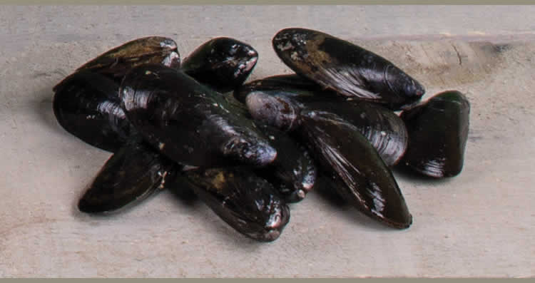 Organic Choice PEI Mussels - 2lb Bag